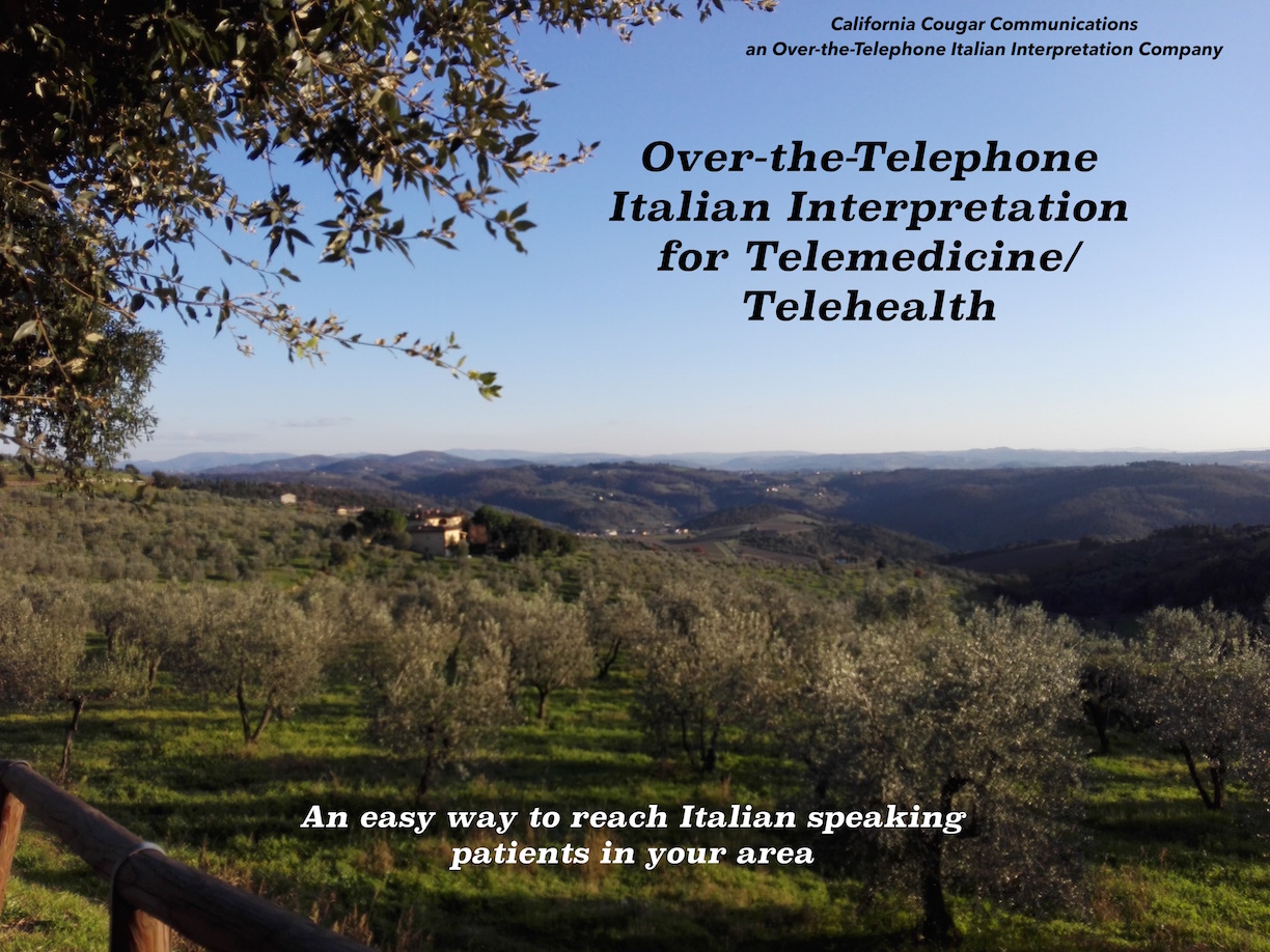 An Easy Way to Reach Italian Speaking Patients in Your Area